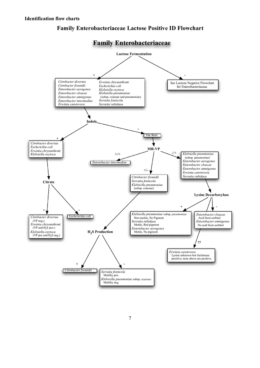 Identification Flow Charts Determinative Bacteriology - Page 7