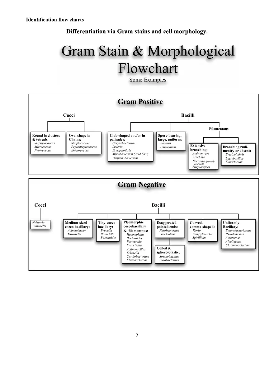Identification Flow Charts Determinative Bacteriology - Page 2