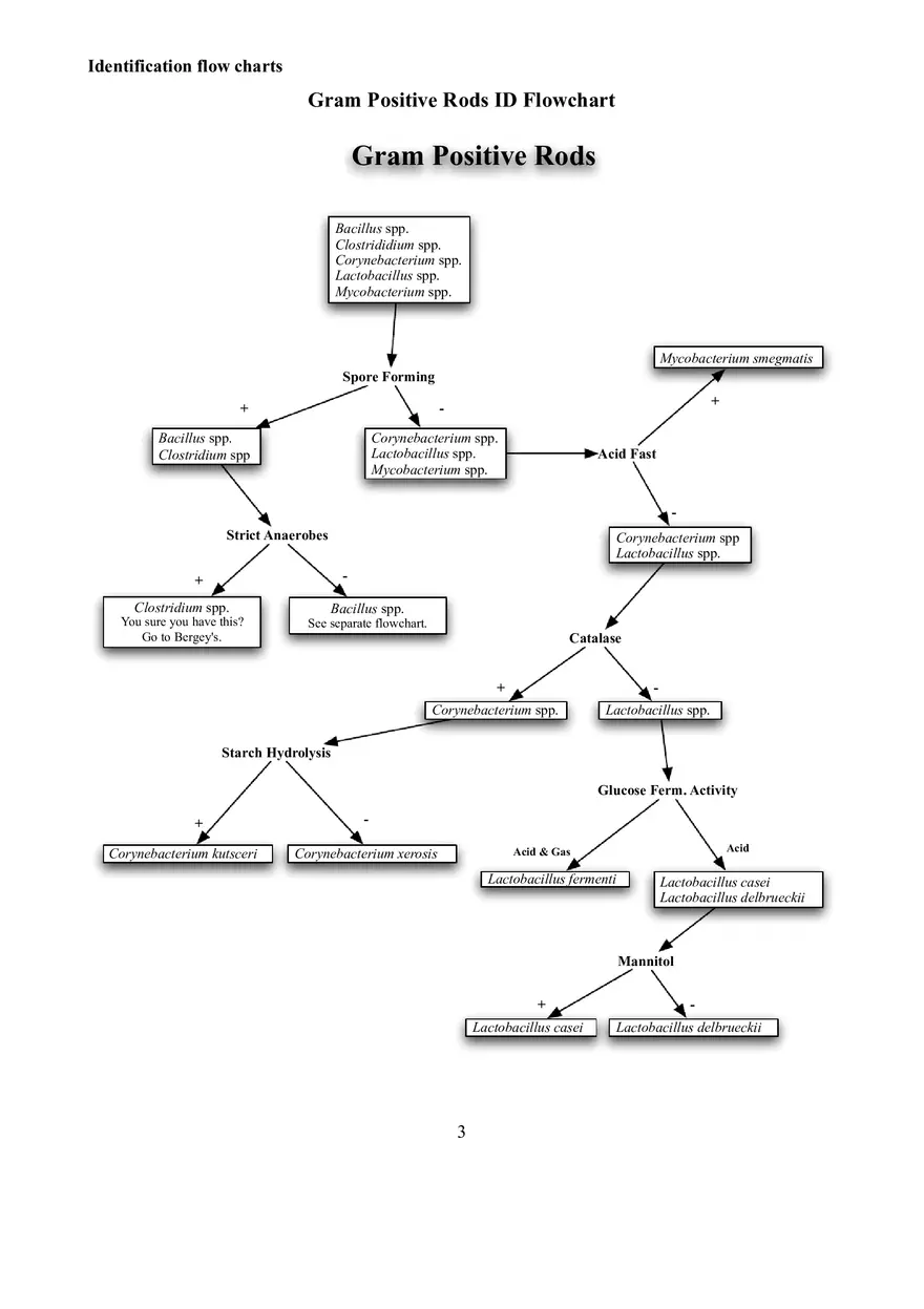 Identification Flow Charts Determinative Bacteriology - Page 3