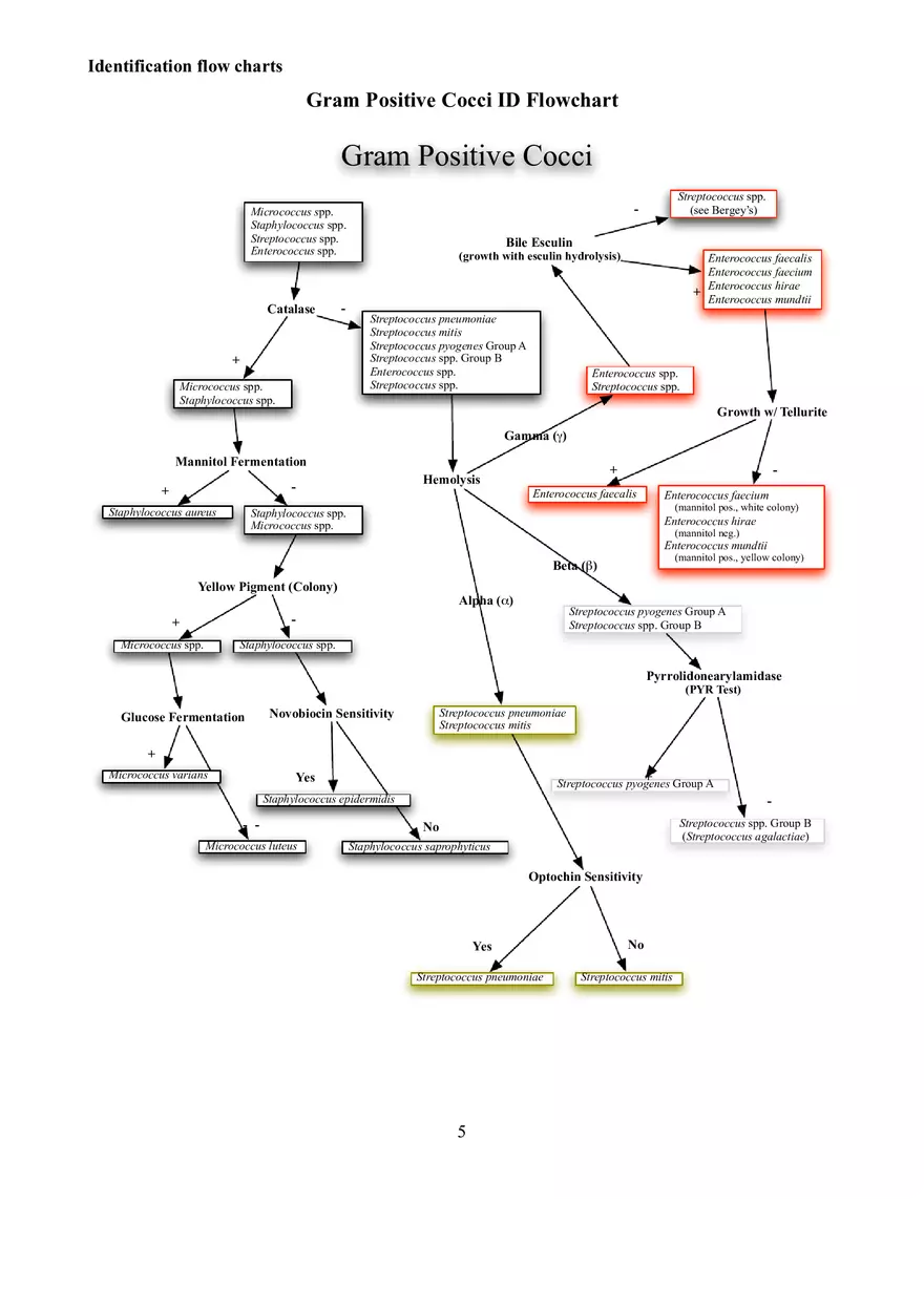 Identification Flow Charts Determinative Bacteriology - Page 5