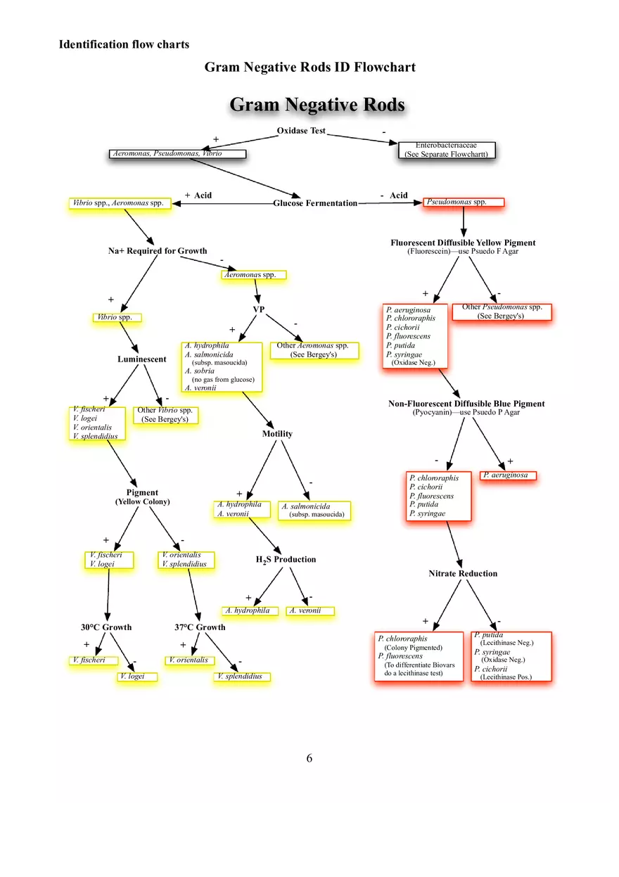 Identification Flow Charts Determinative Bacteriology - Page 6