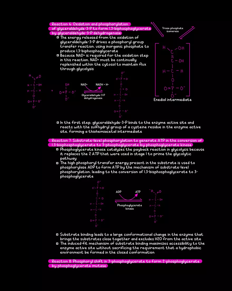 Chapter 9: Glycolysis - Page 7
