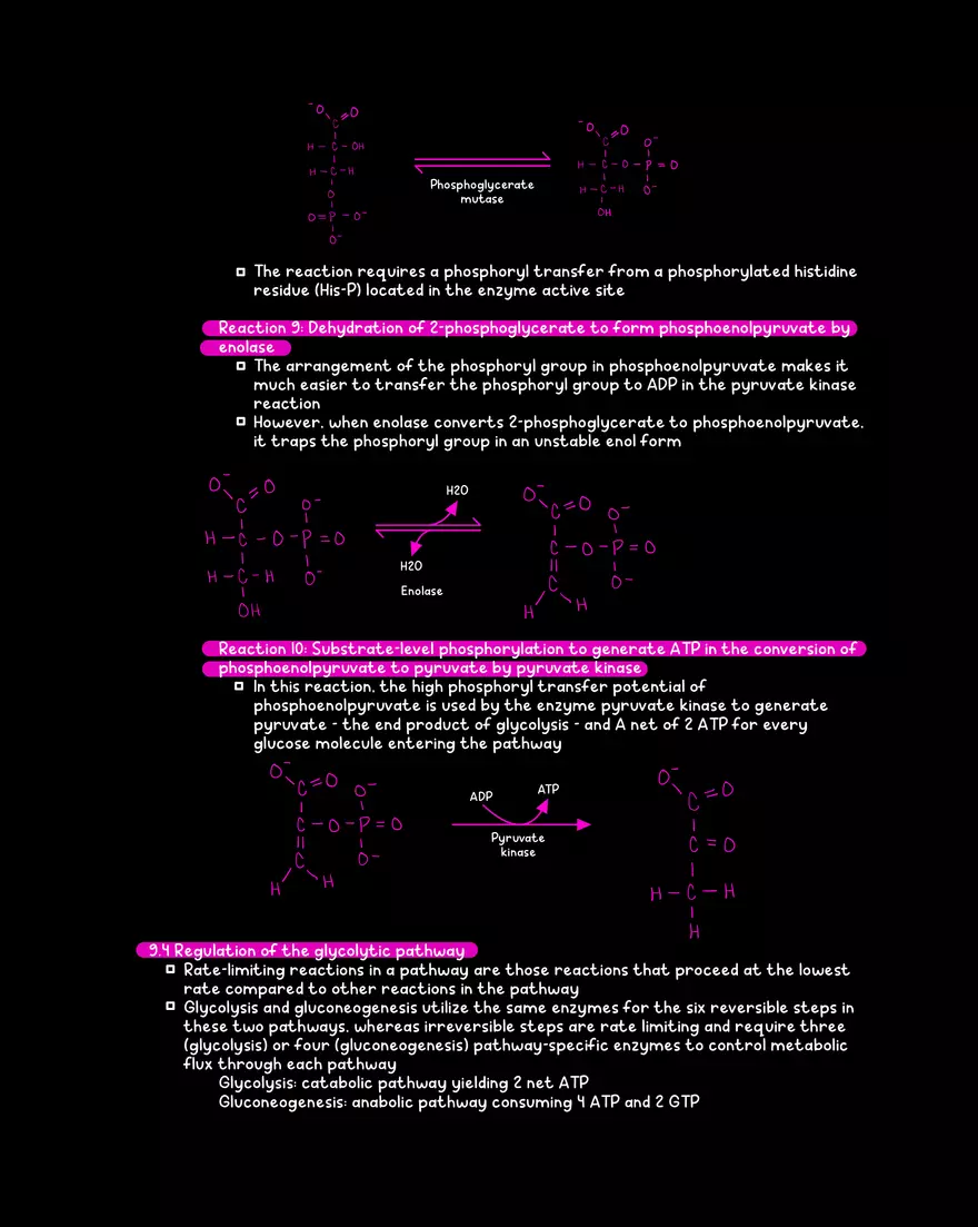 Chapter 9: Glycolysis - Page 8
