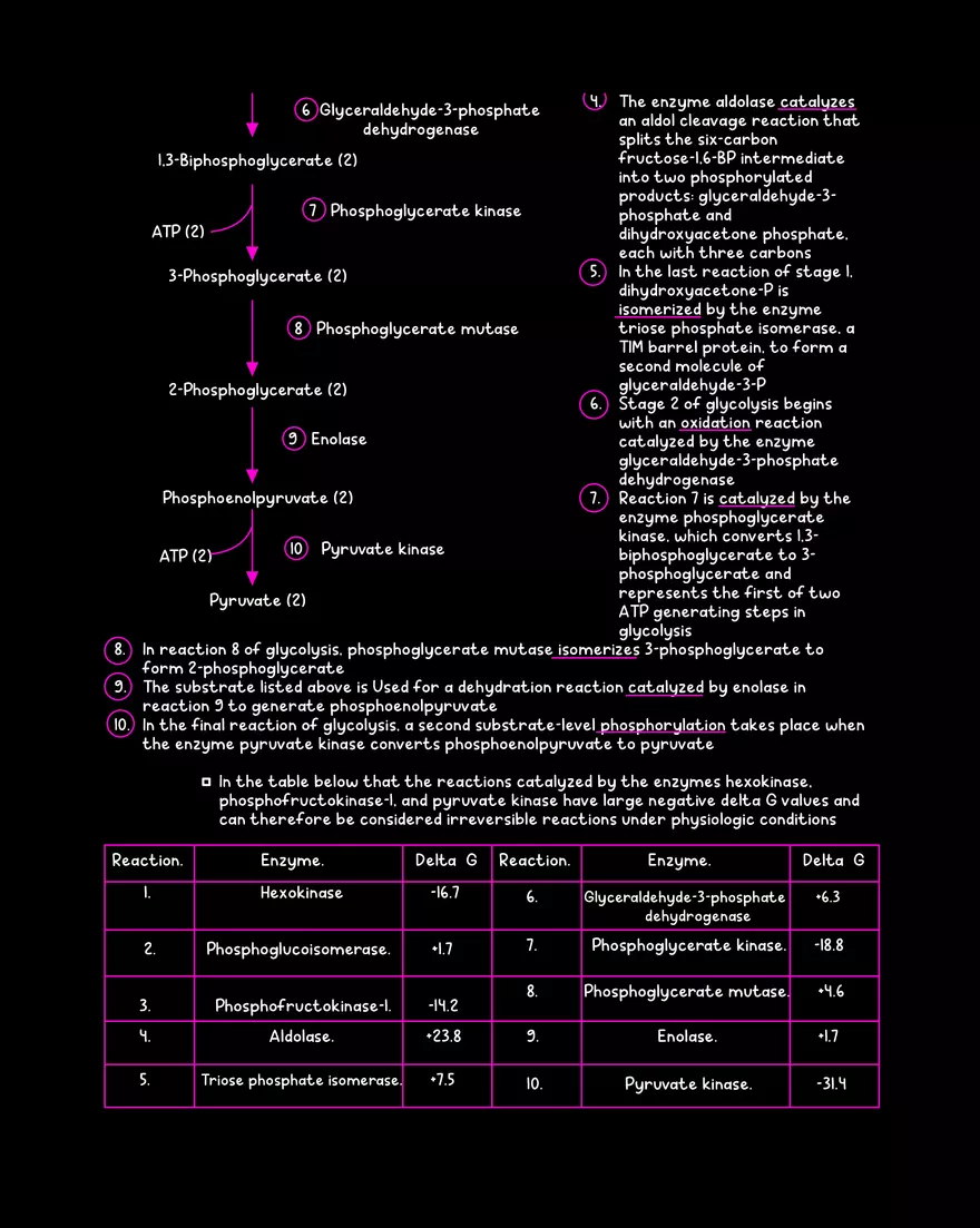 Chapter 9: Glycolysis - Page 4