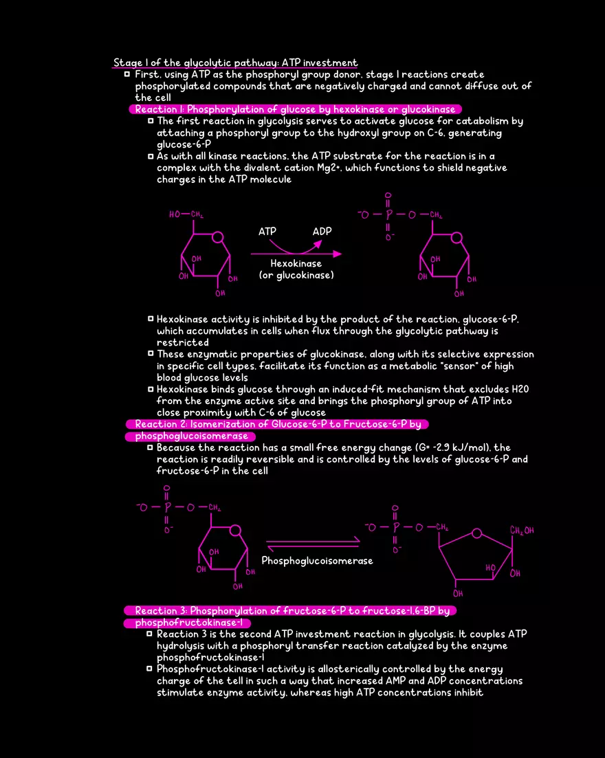 Chapter 9: Glycolysis - Page 5