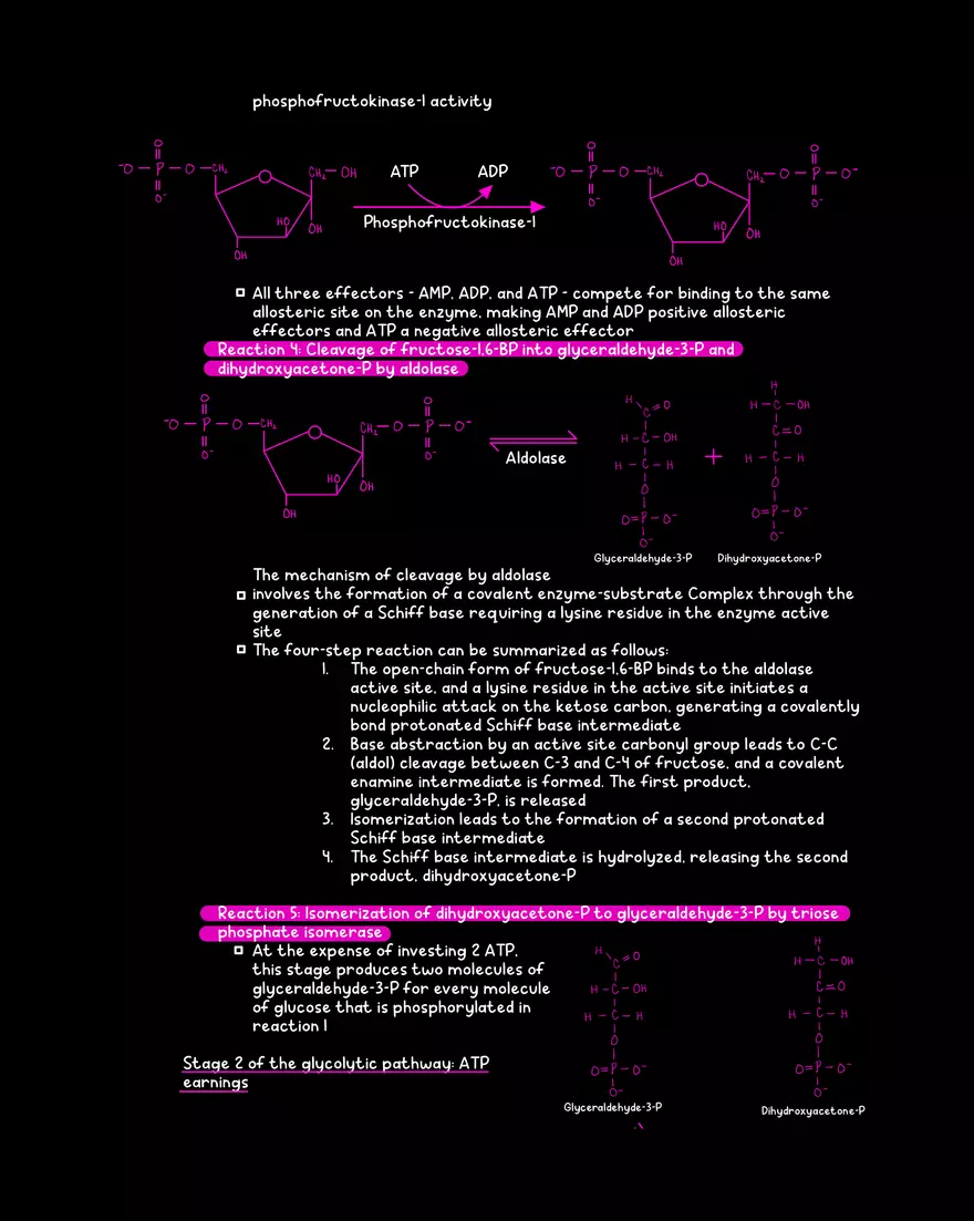 Chapter 9: Glycolysis - Page 6