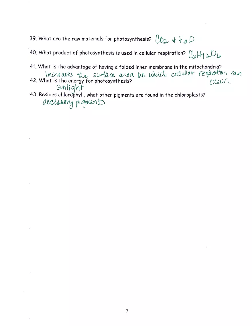 Chloroplast and Mitochondria Practice Key - Page 7