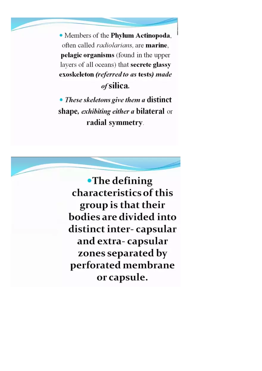 Amoeboid Protozoans - Page 8