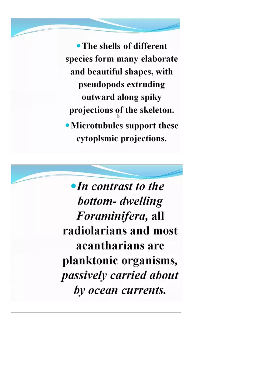 Amoeboid Protozoans - Page 9