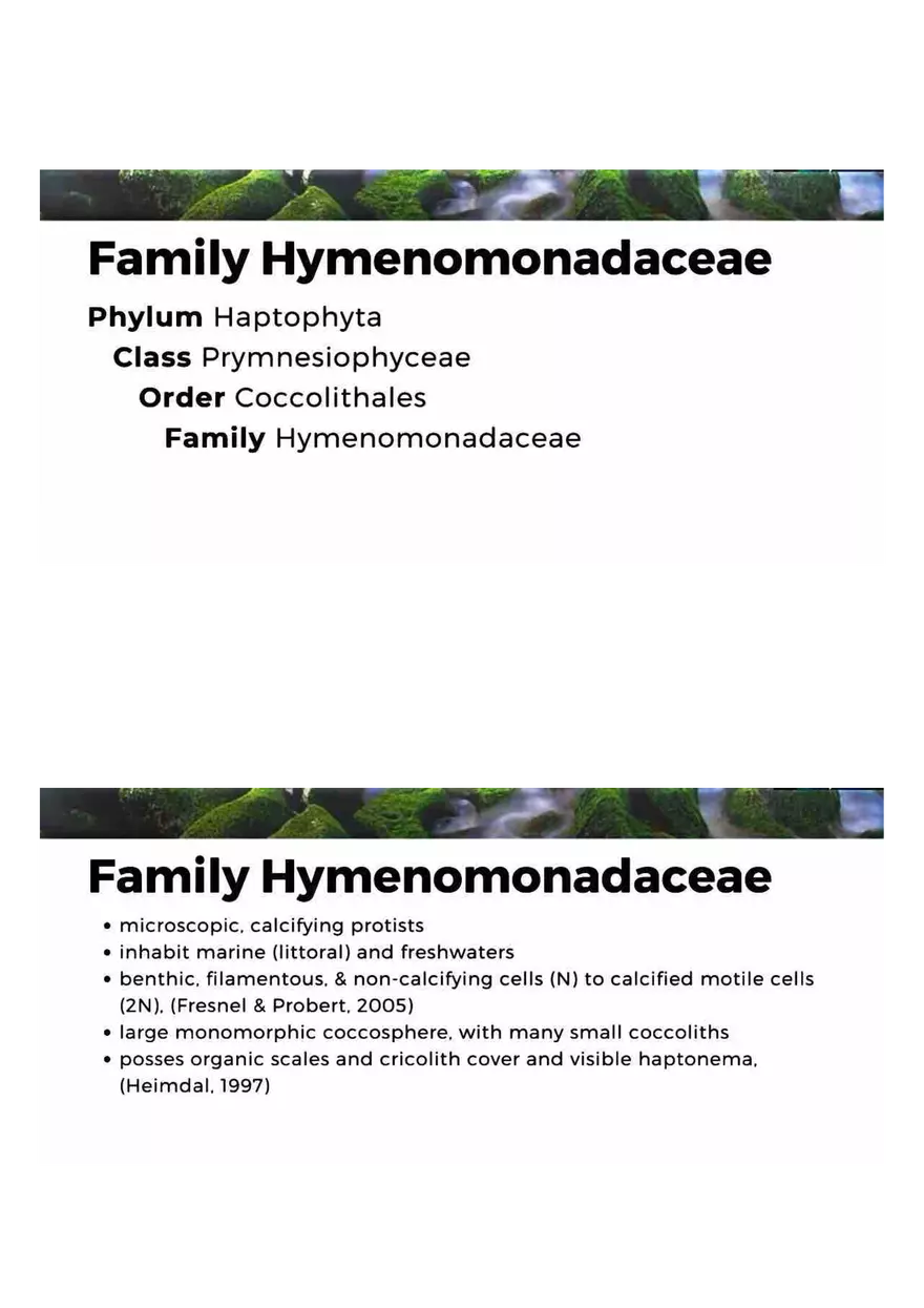 Family of Haptophytes - Page 9