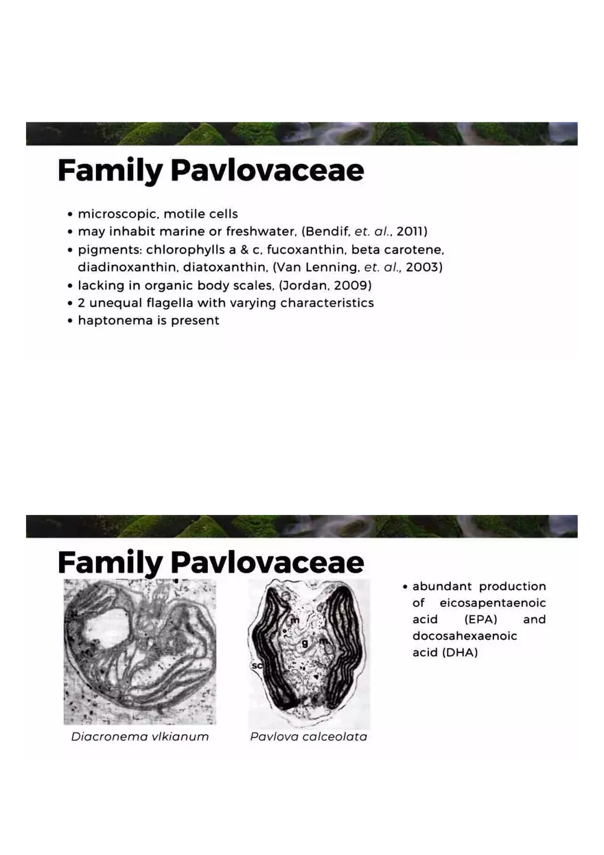 Family of Haptophytes - Page 2
