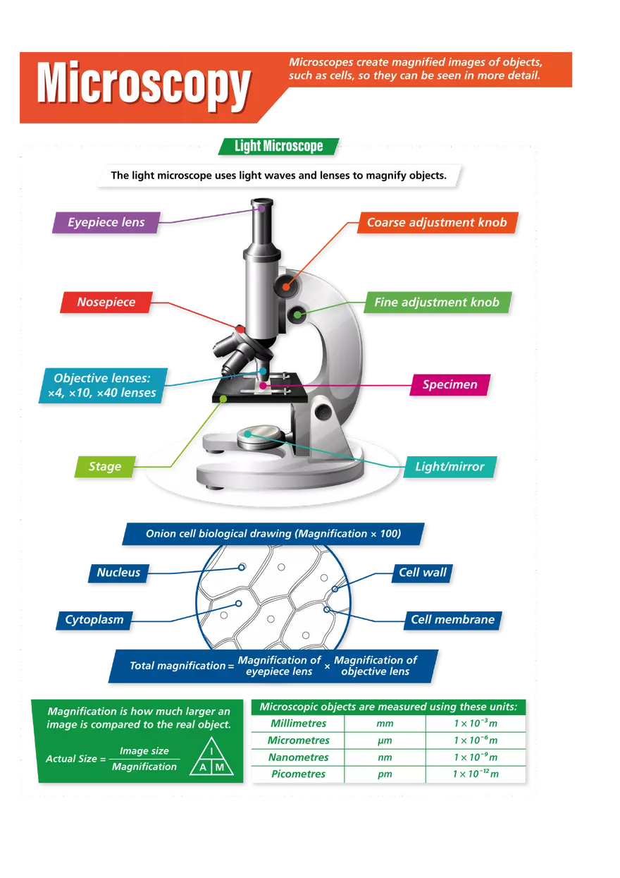 Microscopy Study Materials - Page 1