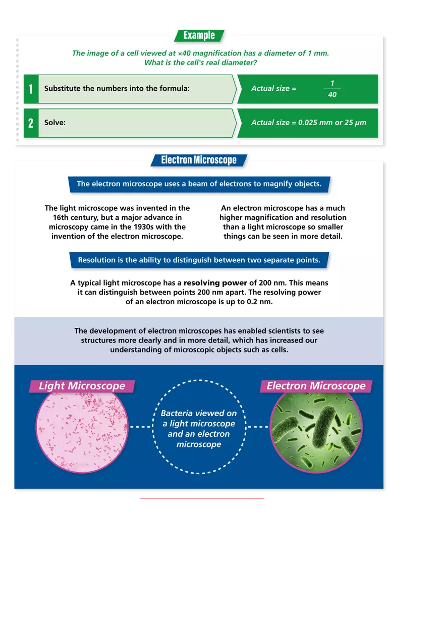 Microscopy Study Materials - Page 2
