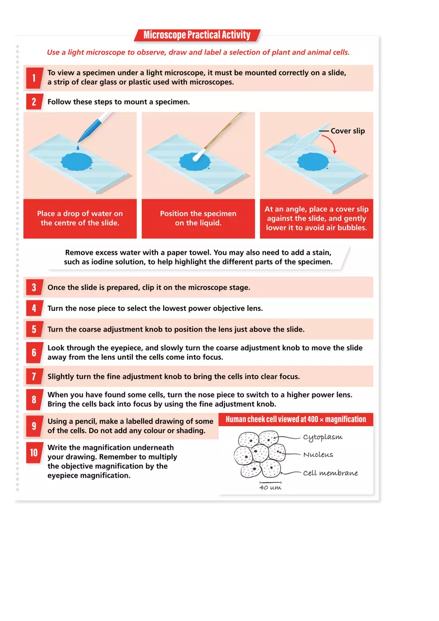 Microscopy Study Materials - Page 3
