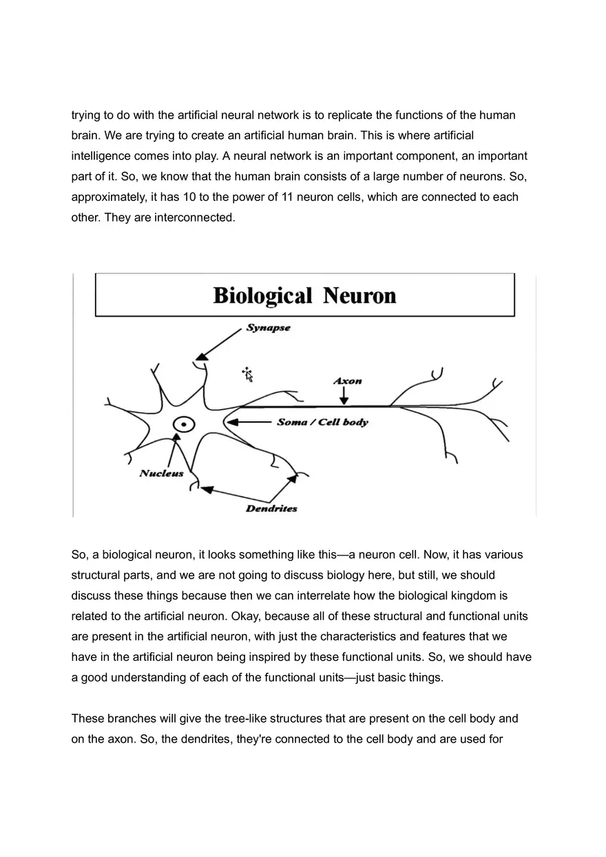 Biological and Artificial Neural Network - Page 2