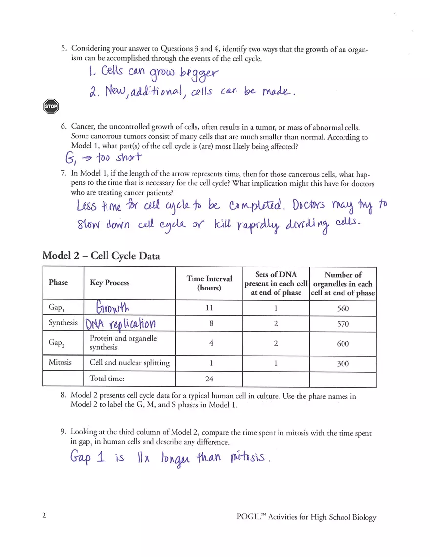 Cell Cycle POGIL Key - Page 2