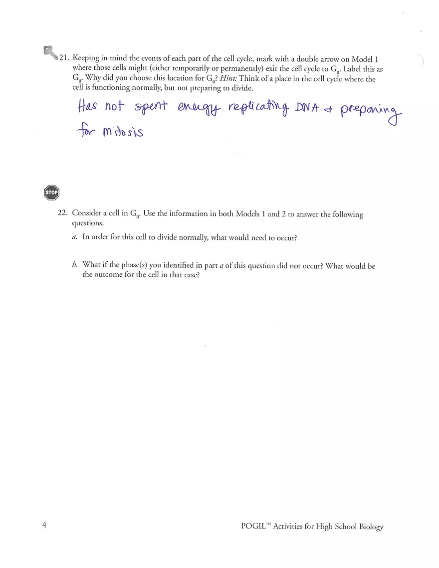 Cell Cycle POGIL Key - Page 4