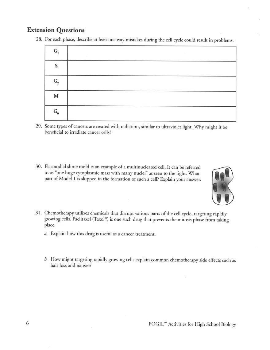 Cell Cycle POGIL Key - Page 6