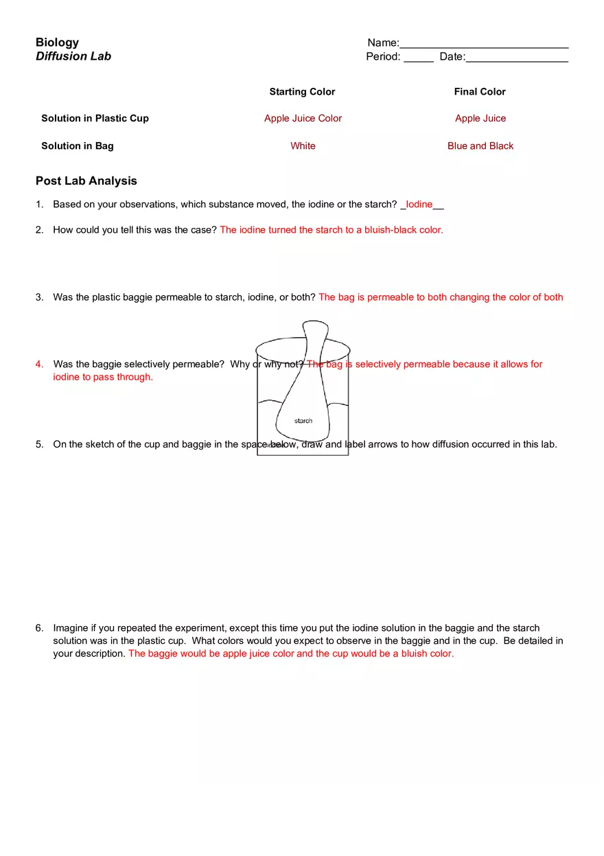 Biology Diffusion Lab - Page 3