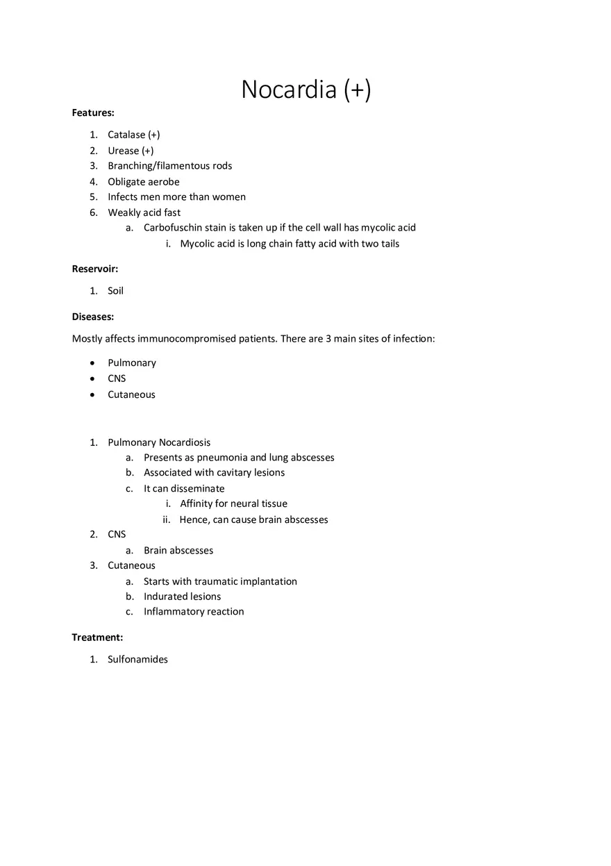 Nocardia (+) - Page 1