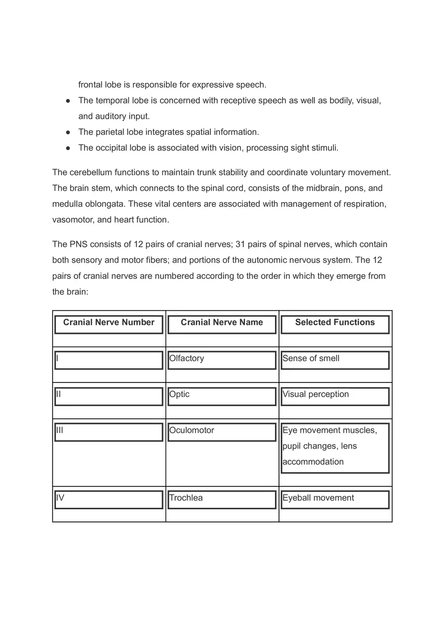 Anatomic Pointers - Neurologic Issues - Page 2