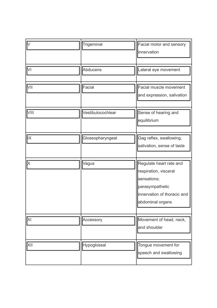 Anatomic Pointers - Neurologic Issues - Page 3