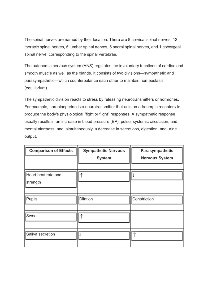 Anatomic Pointers - Neurologic Issues - Page 4