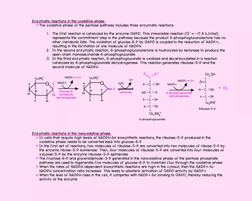 Chapter 14: Carbohydrate Metabolism - Page 3
