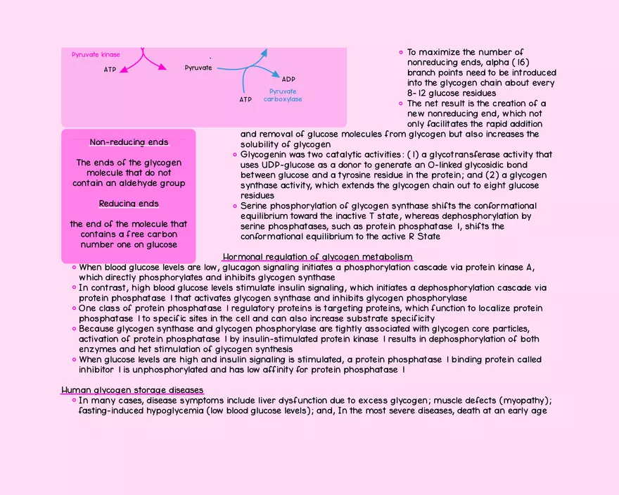 Chapter 14: Carbohydrate Metabolism - Page 6