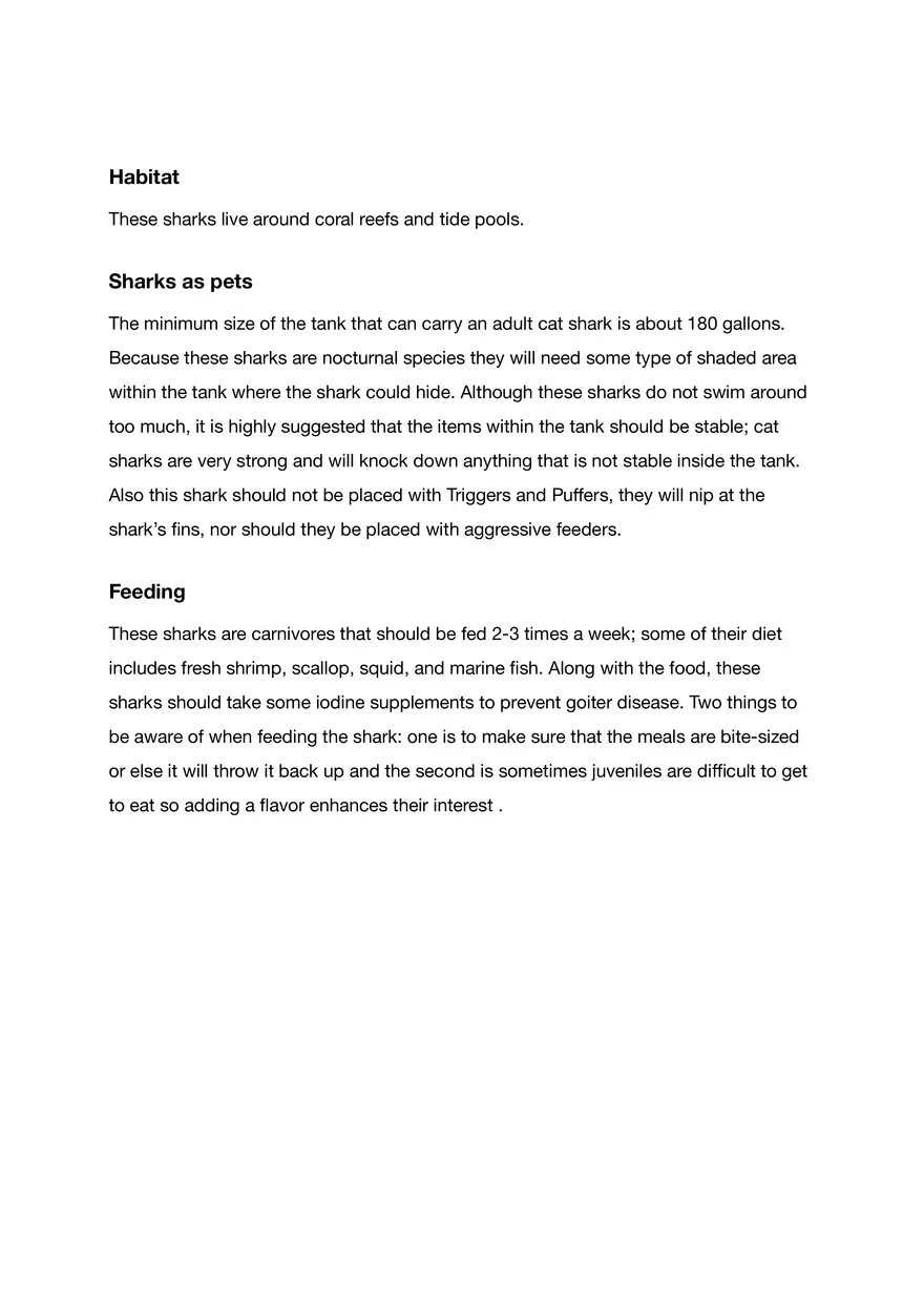 Brownbanded Bambooshark - Page 3