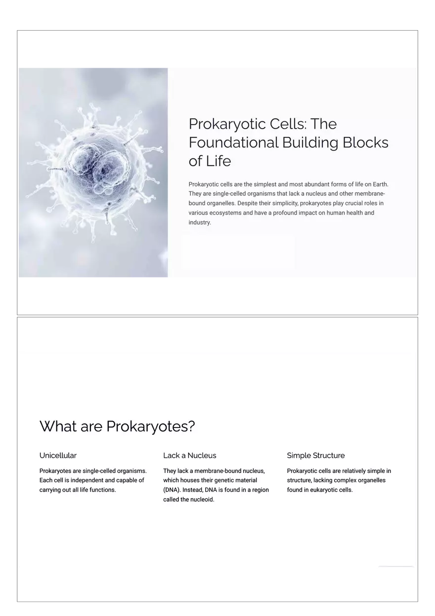 Prokaryotic Cells - Page 1