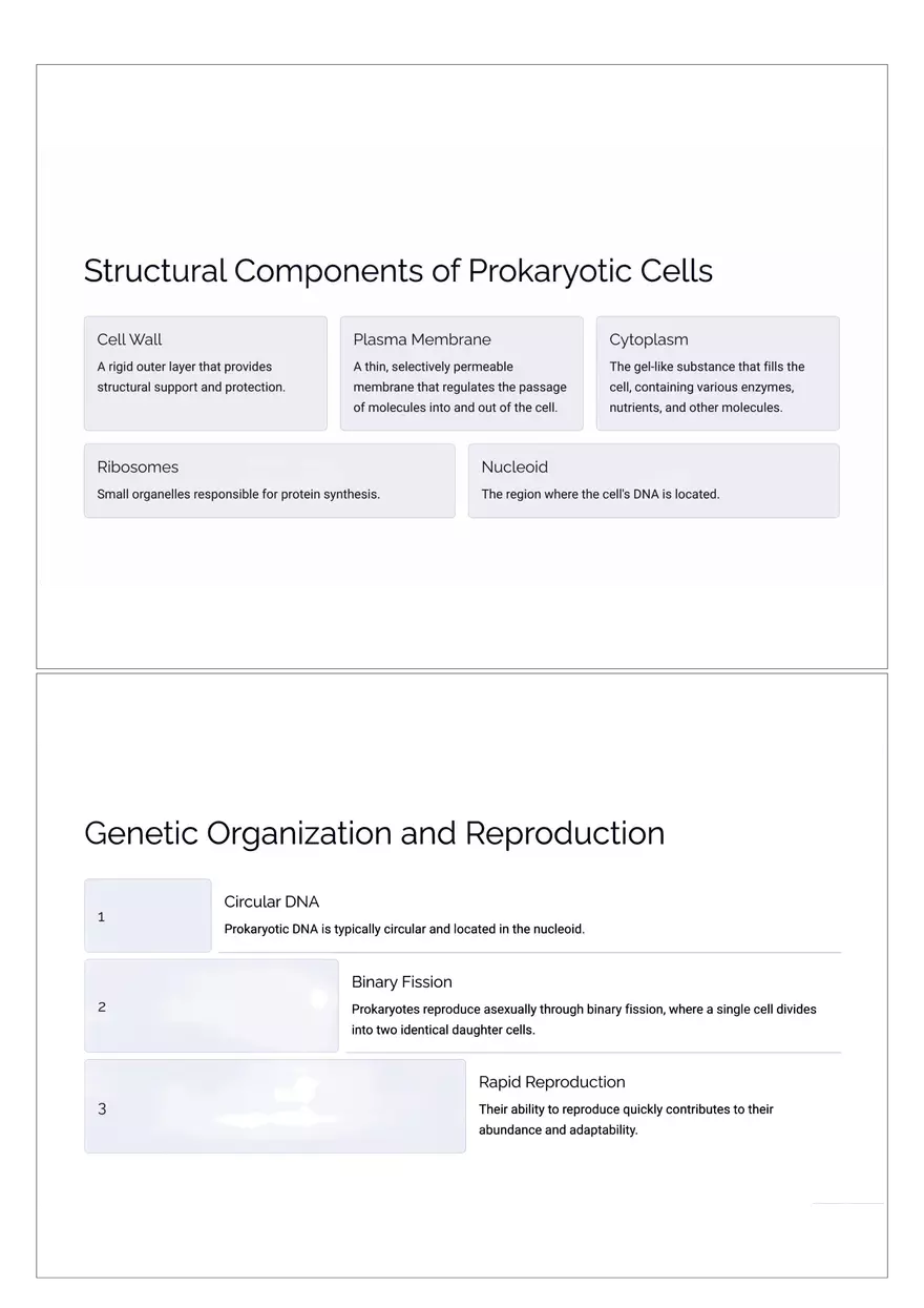 Prokaryotic Cells - Page 2