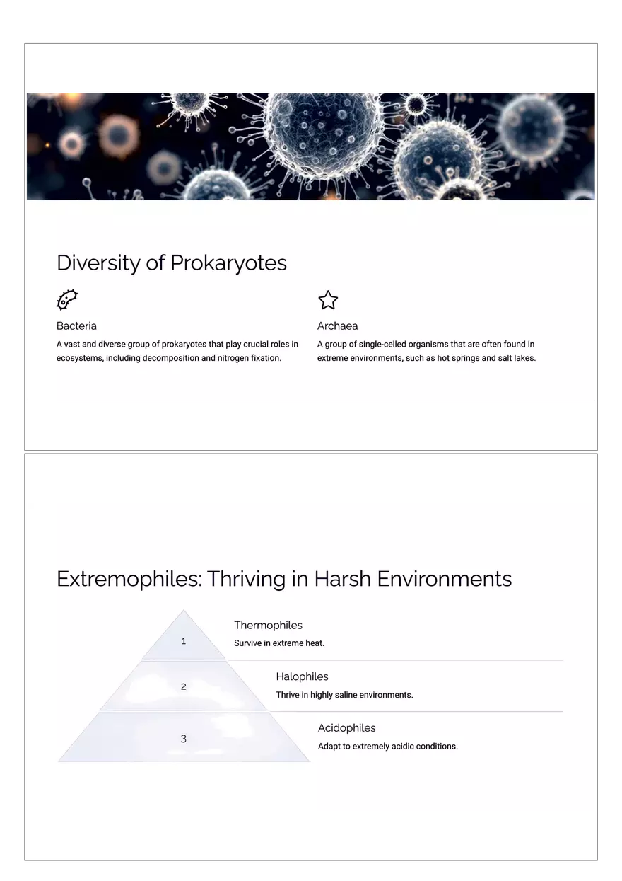 Prokaryotic Cells - Page 3