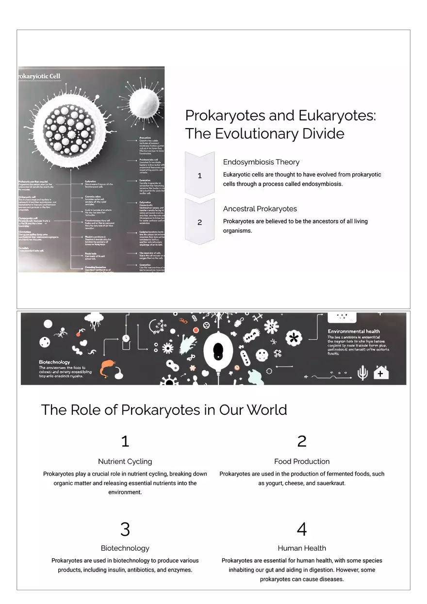 Prokaryotic Cells - Page 4
