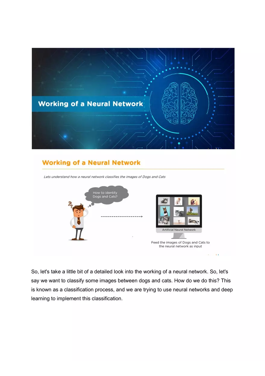 Working of a Neural Network - Page 1
