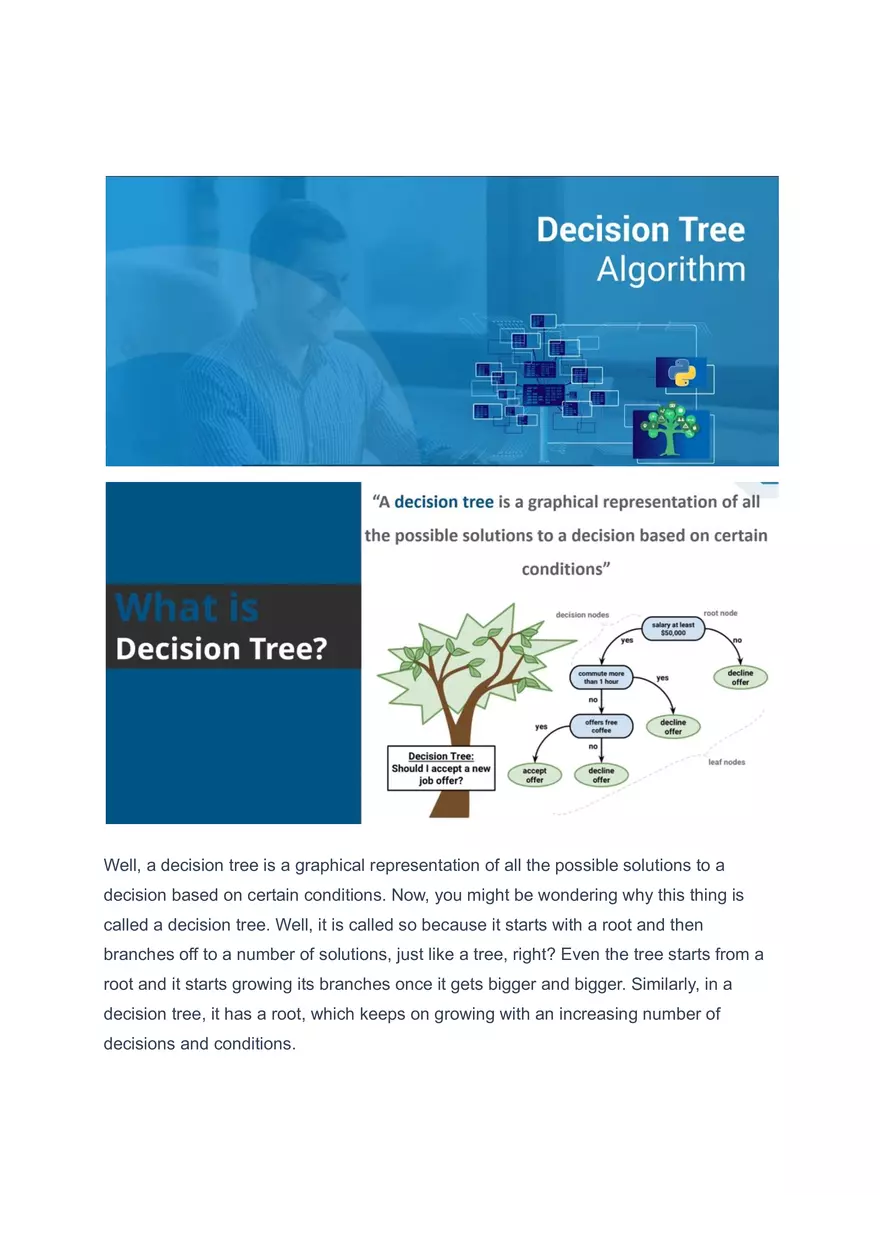 Decision Tree Algorithm - Page 1