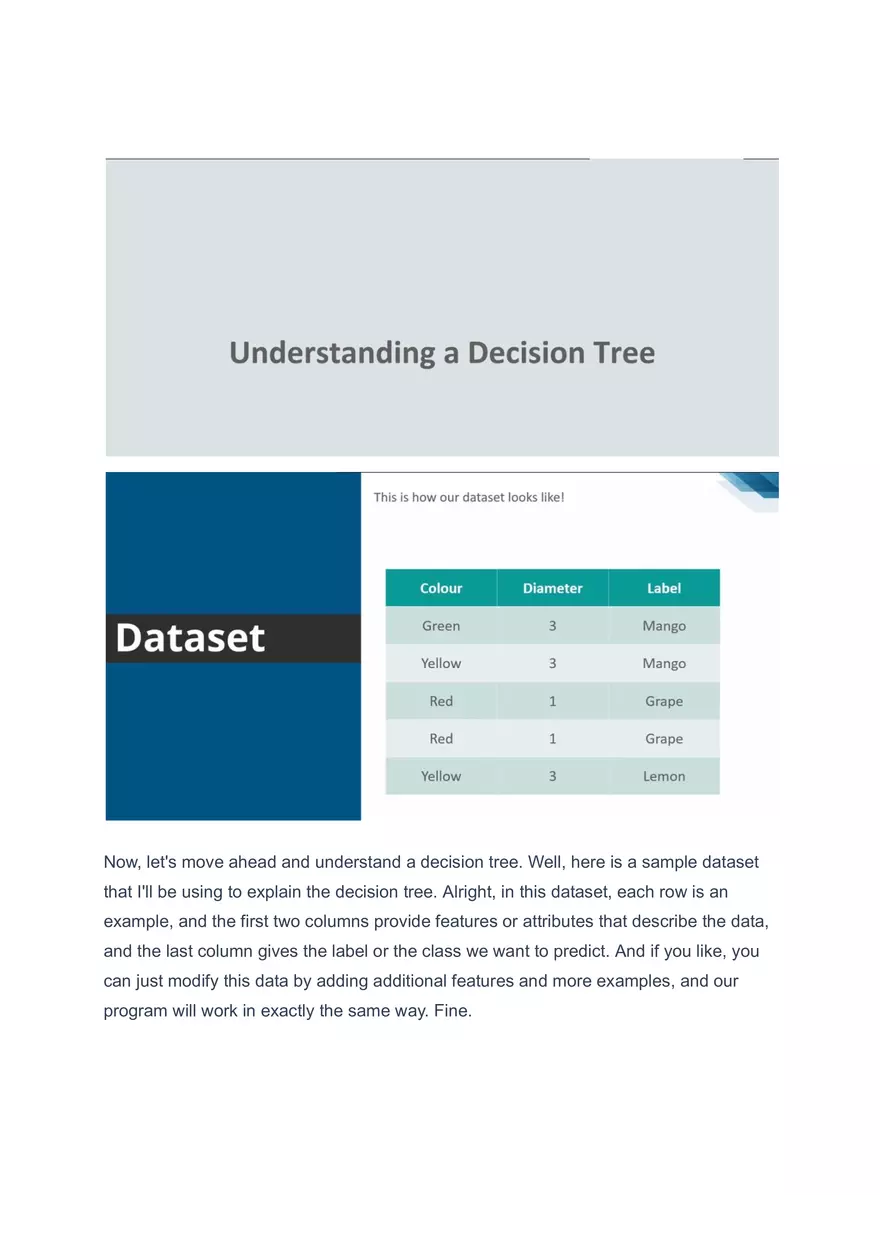 Decision Tree Algorithm - Page 3