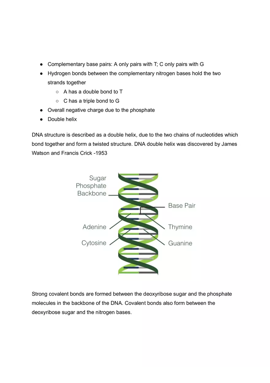 Structure and Function of DNA - Page 2
