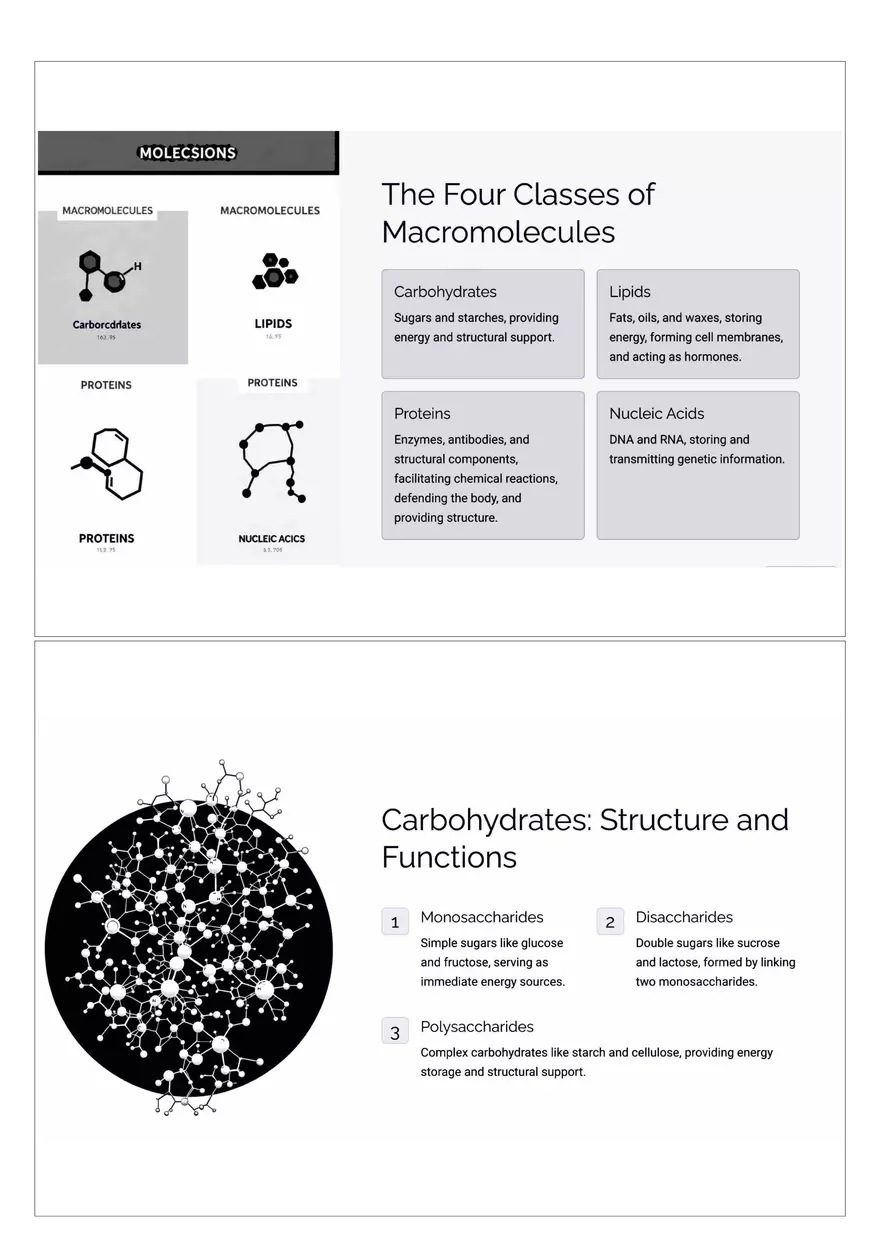 Macromolecules: Building Blocks of Life - Page 2