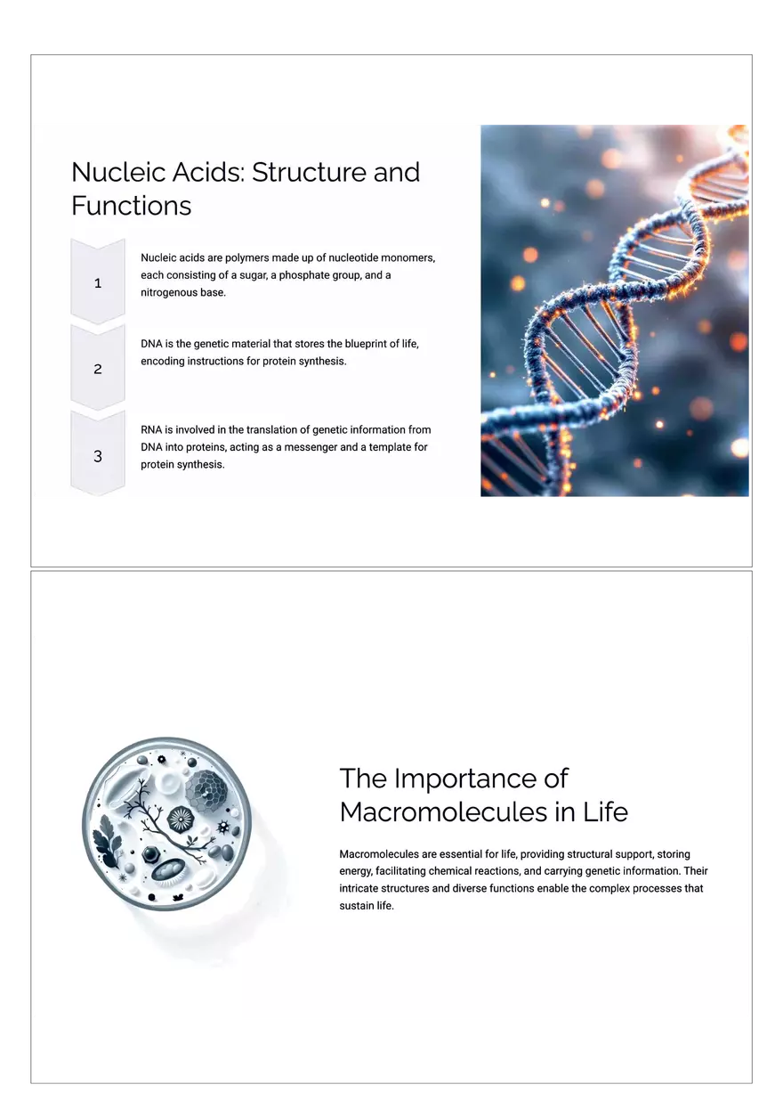 Macromolecules: Building Blocks of Life - Page 4