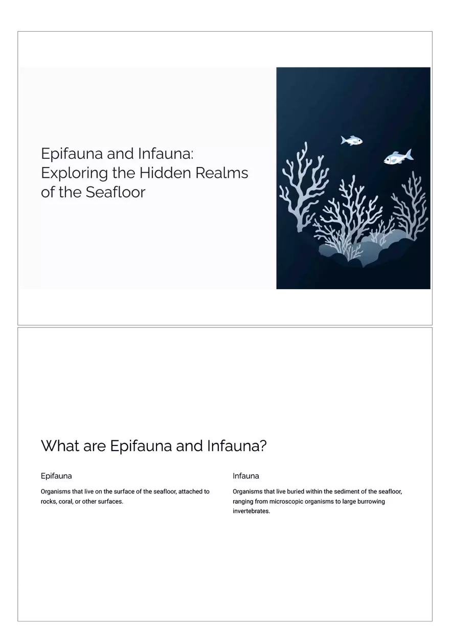 Exploring the Hidden Realms of the Seafloor - Page 1