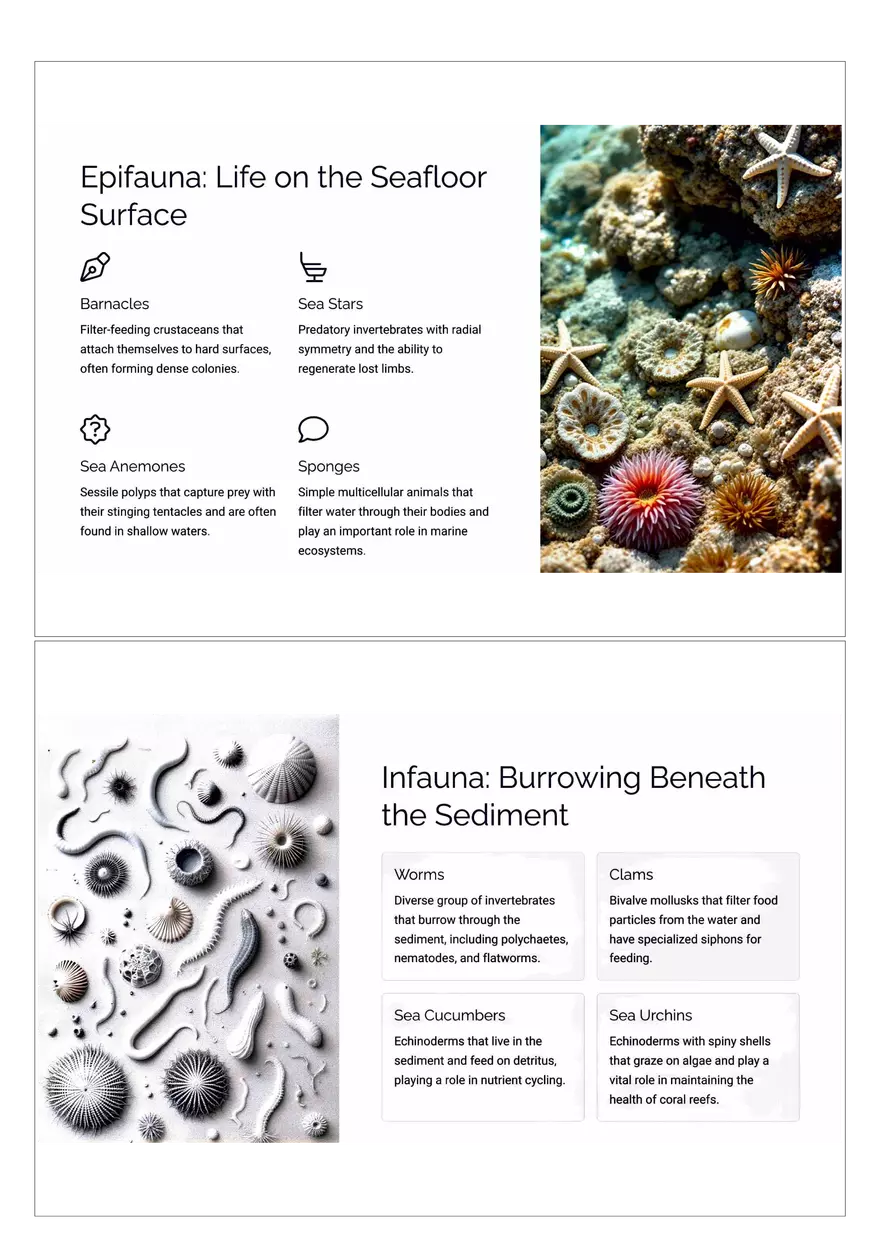 Exploring the Hidden Realms of the Seafloor - Page 2