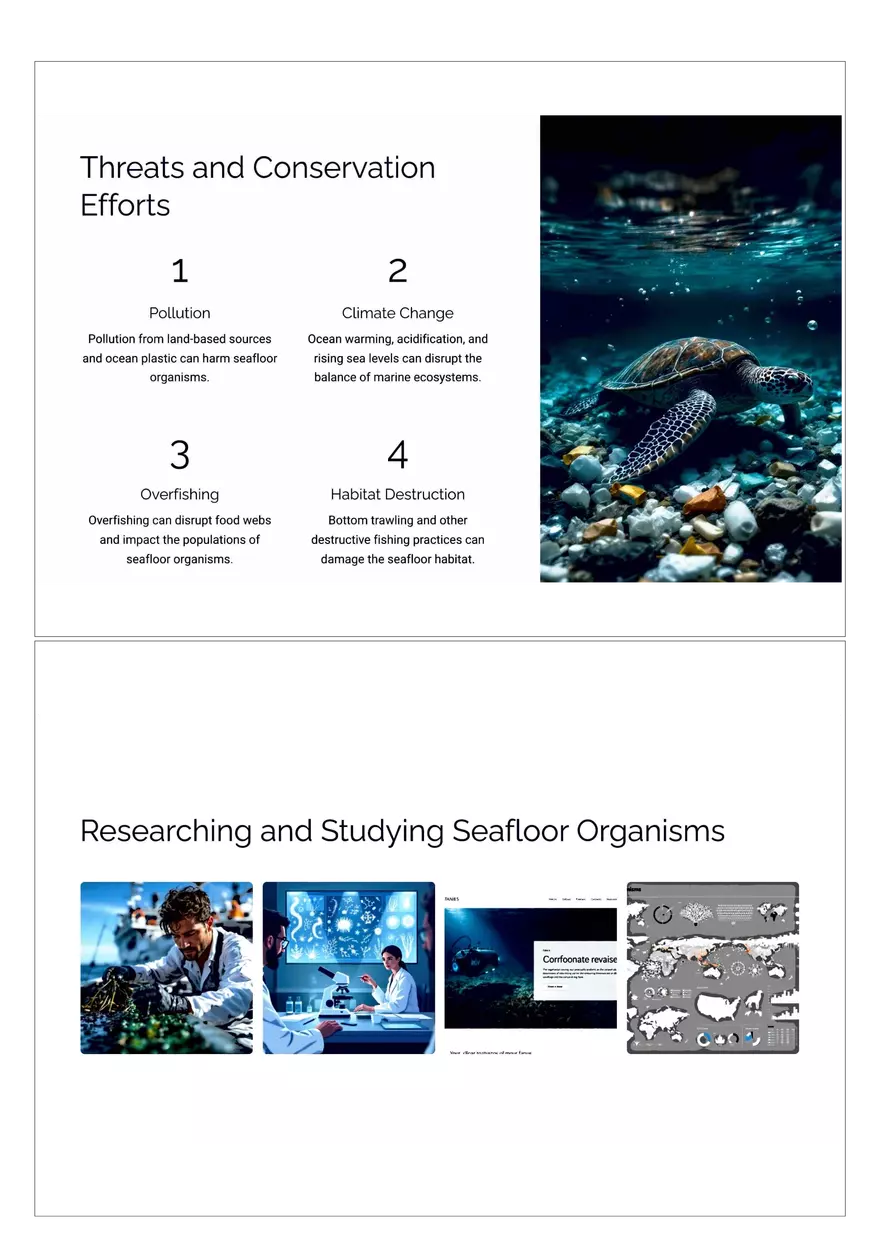 Exploring the Hidden Realms of the Seafloor - Page 4