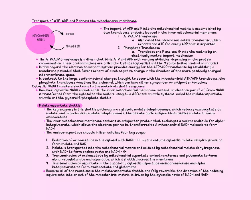 Chapter 11: Oxidative Phosphorylation - Page 7