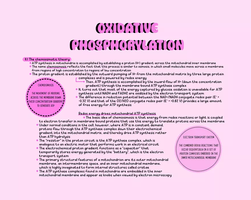 Chapter 11: Oxidative Phosphorylation - Page 1