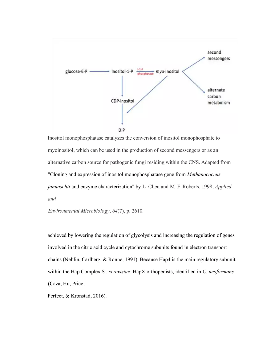 The Critical Role of Carbon Metabolism - Page 9