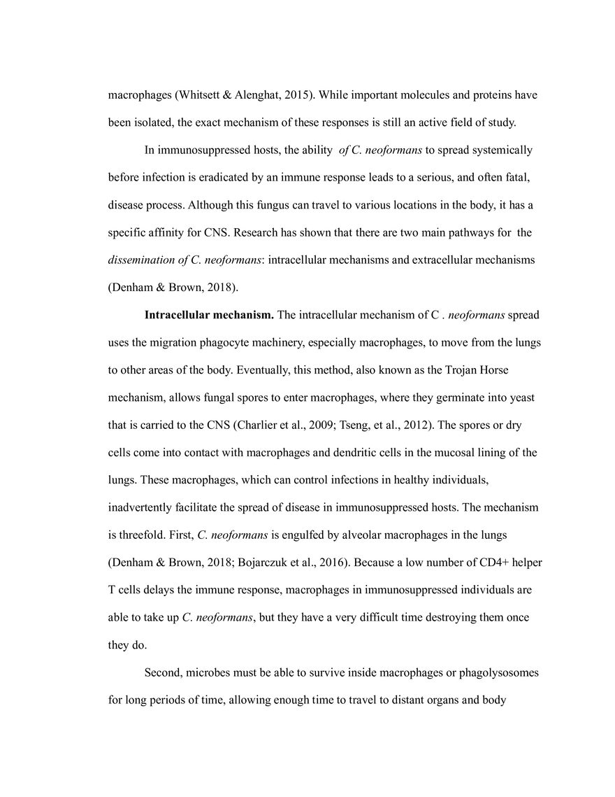 The Critical Role of Carbon Metabolism - Page 13