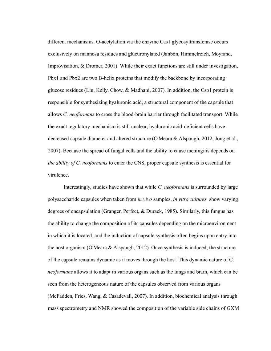 The Critical Role of Carbon Metabolism - Page 17