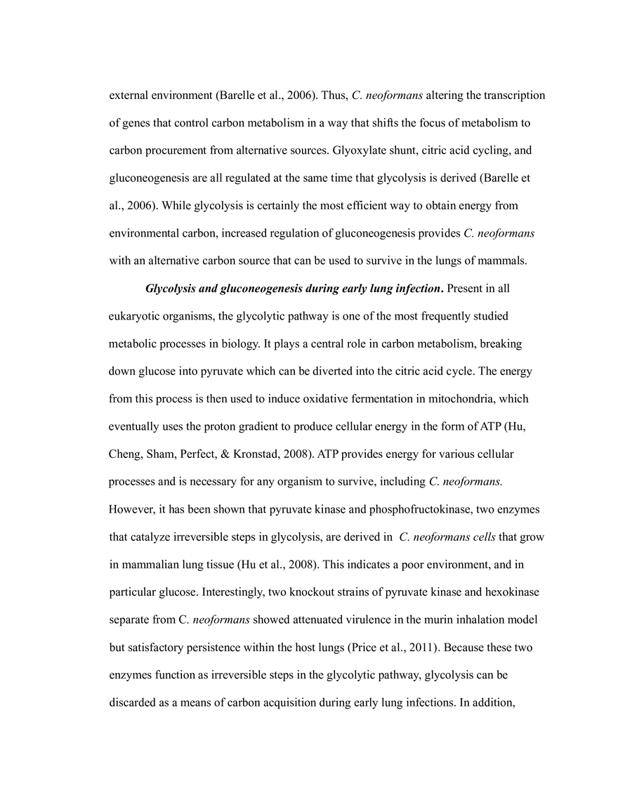 The Critical Role of Carbon Metabolism - Page 35