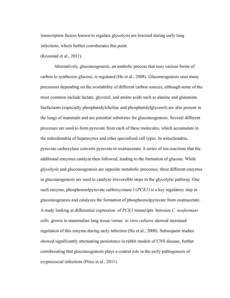 The Critical Role of Carbon Metabolism - Page 36